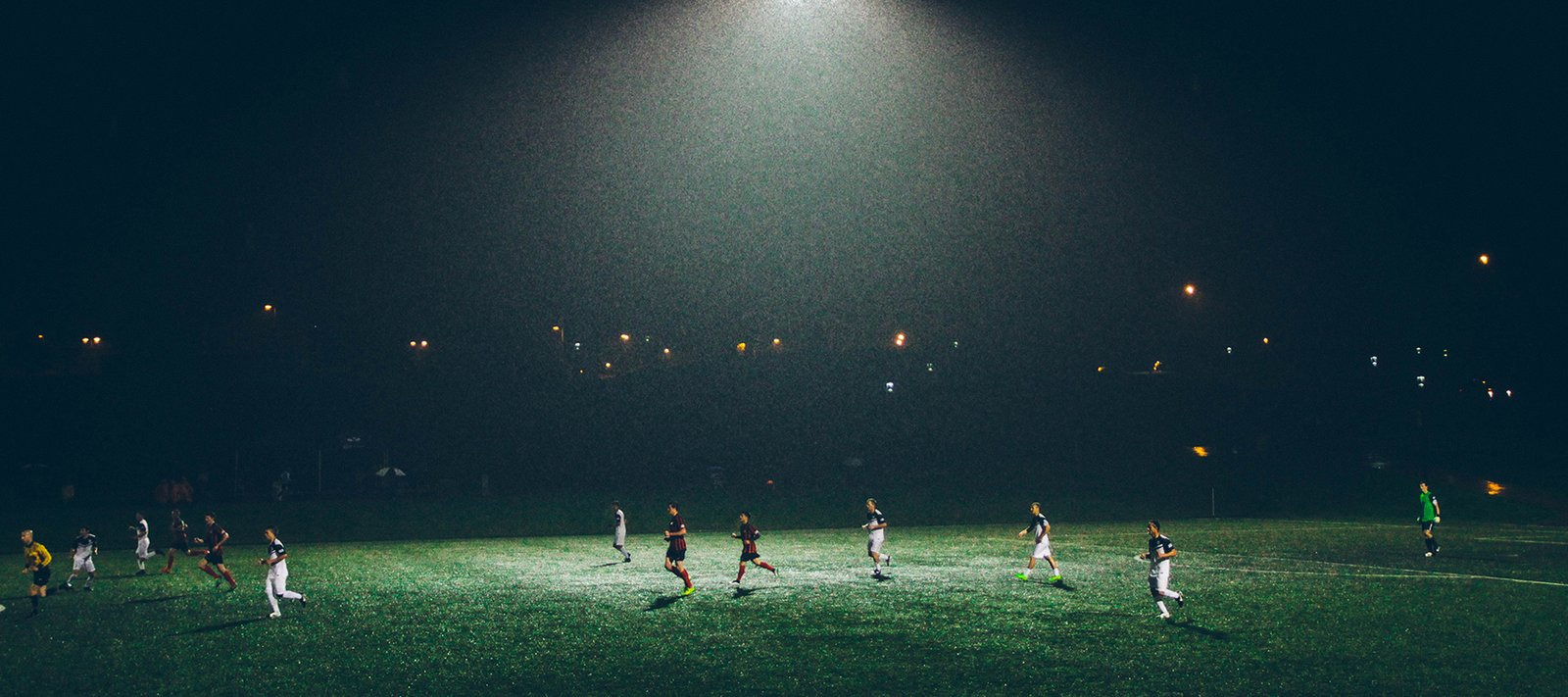 Brain Training For Dogs 1