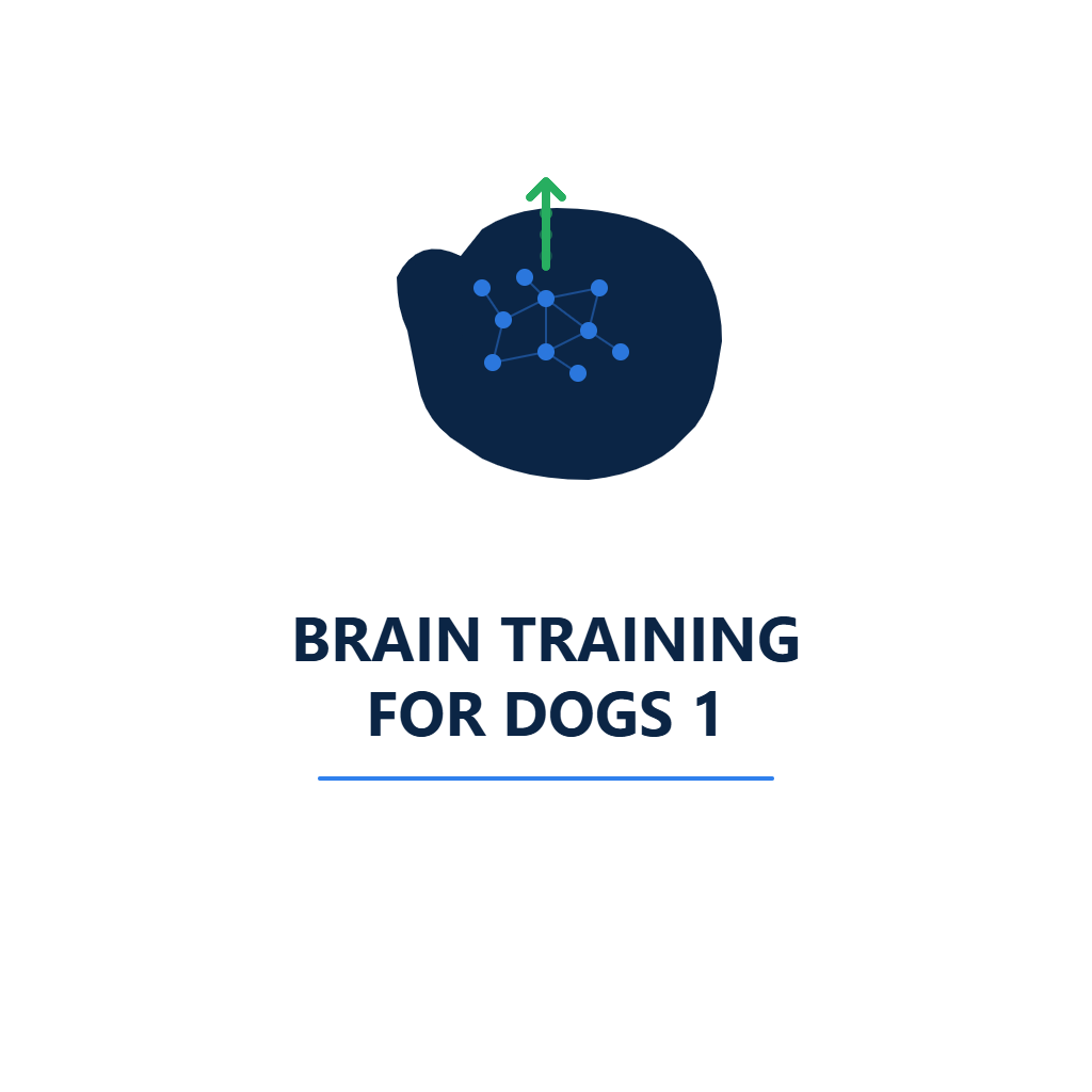 Brain Training For Dogs 1